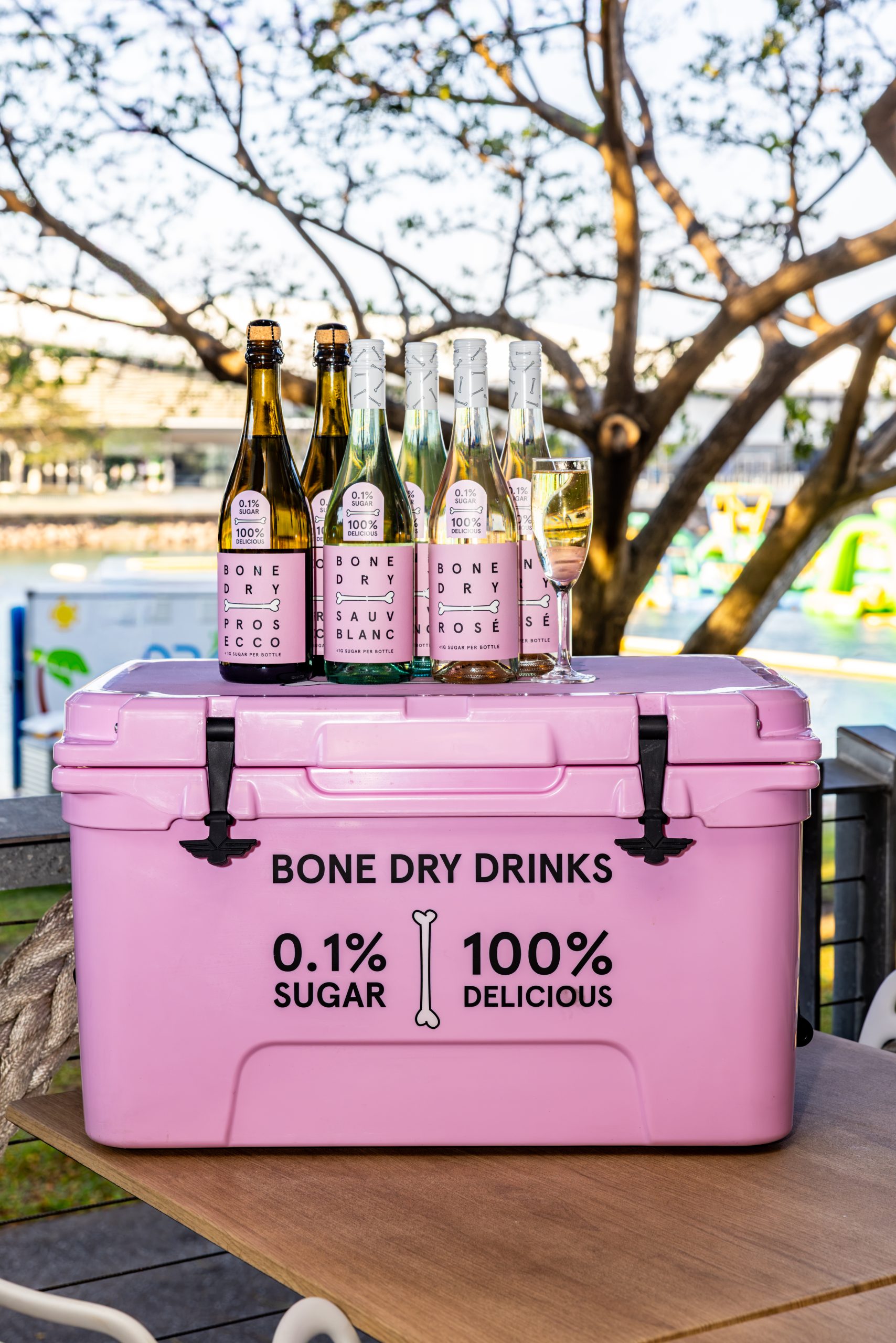 Bone Dry Esky Party